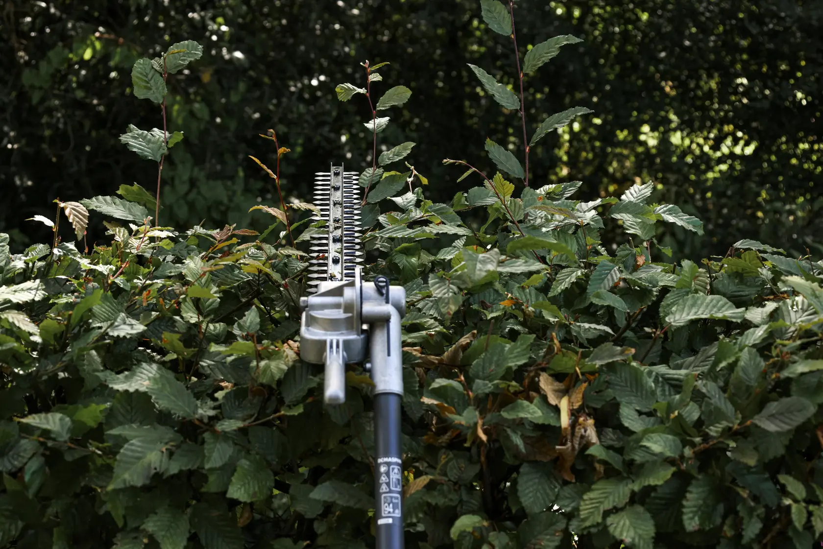 Cabezal Cortasetos de Pértiga para DCMAS5713