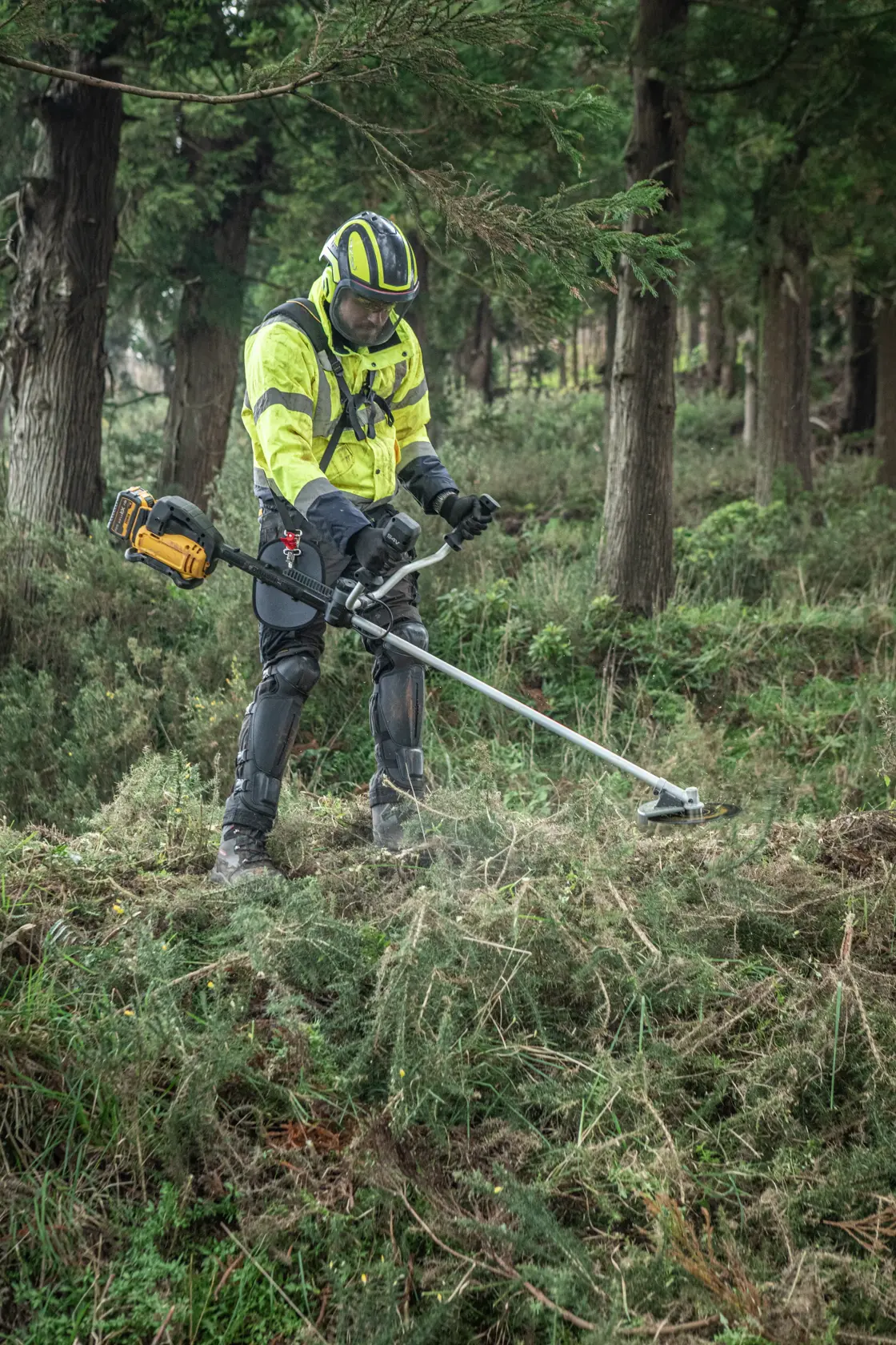 Usuario con DEWALT DCMBC723N-XJ, DCMBC723N desbrozadora en bosque. Lleva equipo de seguridad.