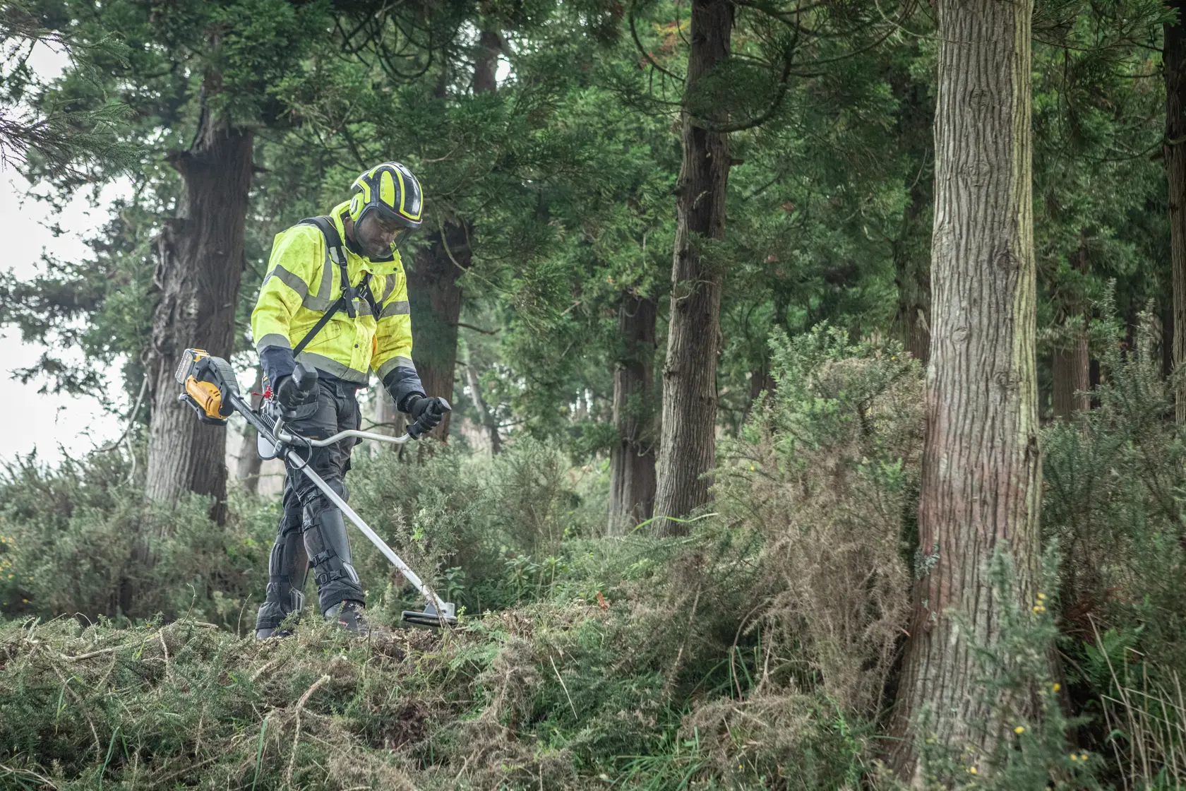 Persona usando DEWALT DCMBC723N-XJ, DCMBC723N desbrozadora en bosque, categoría fotografía.