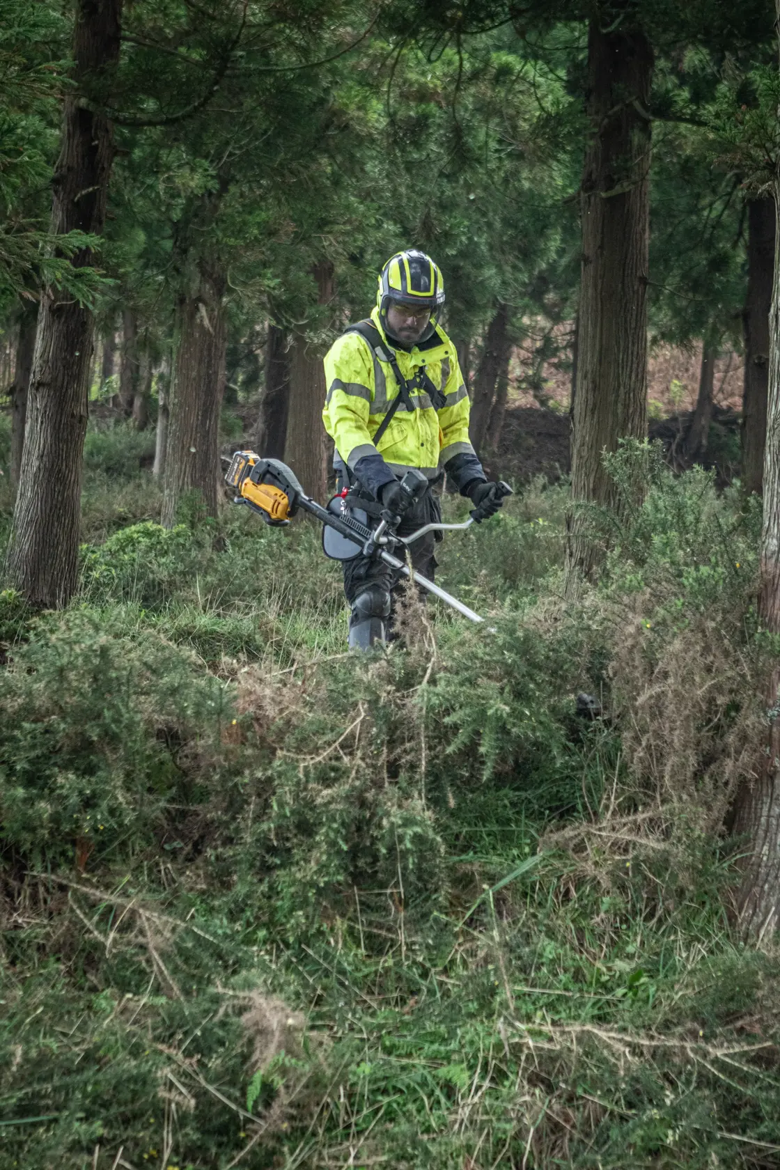 Trabajador usa DEWALT DCMBC823N, DCMBC823N-XJ desbrozadora en bosque con equipo de seguridad.