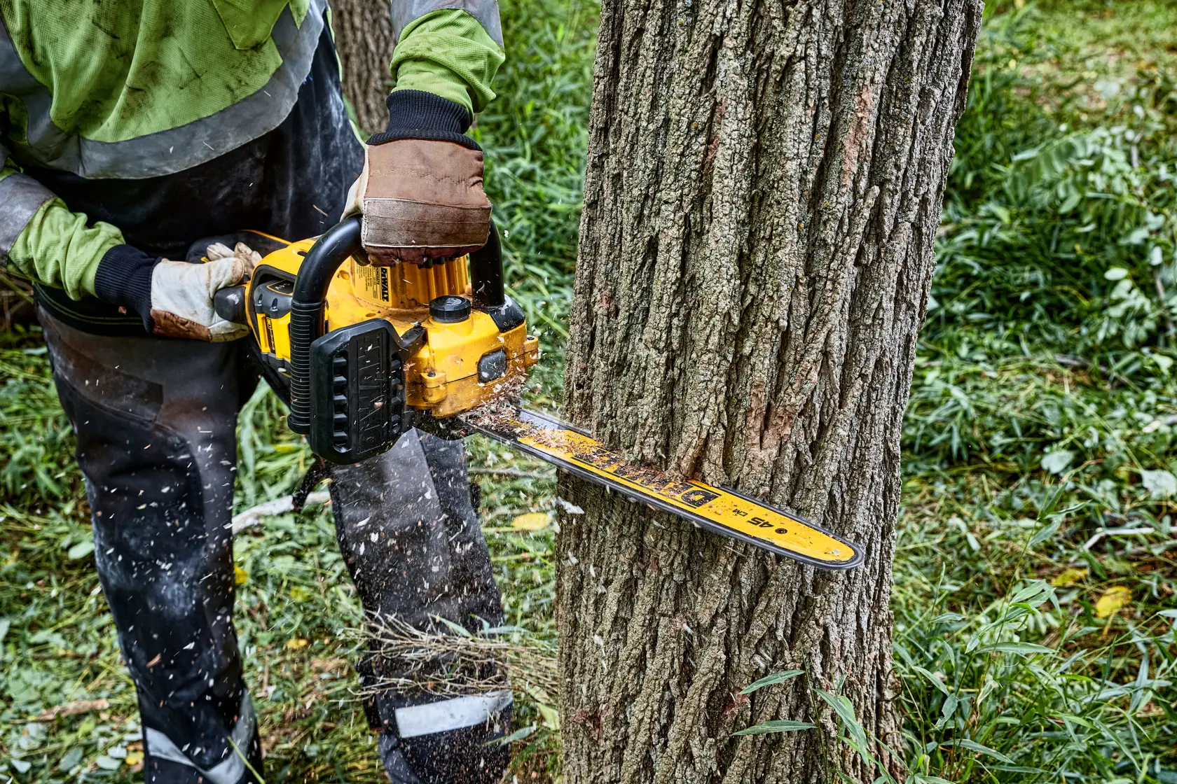 Una persona usa una motosierra amarilla DEWALT para cortar el tronco de un árbol al aire libre, llevando guantes y ropa protectora.