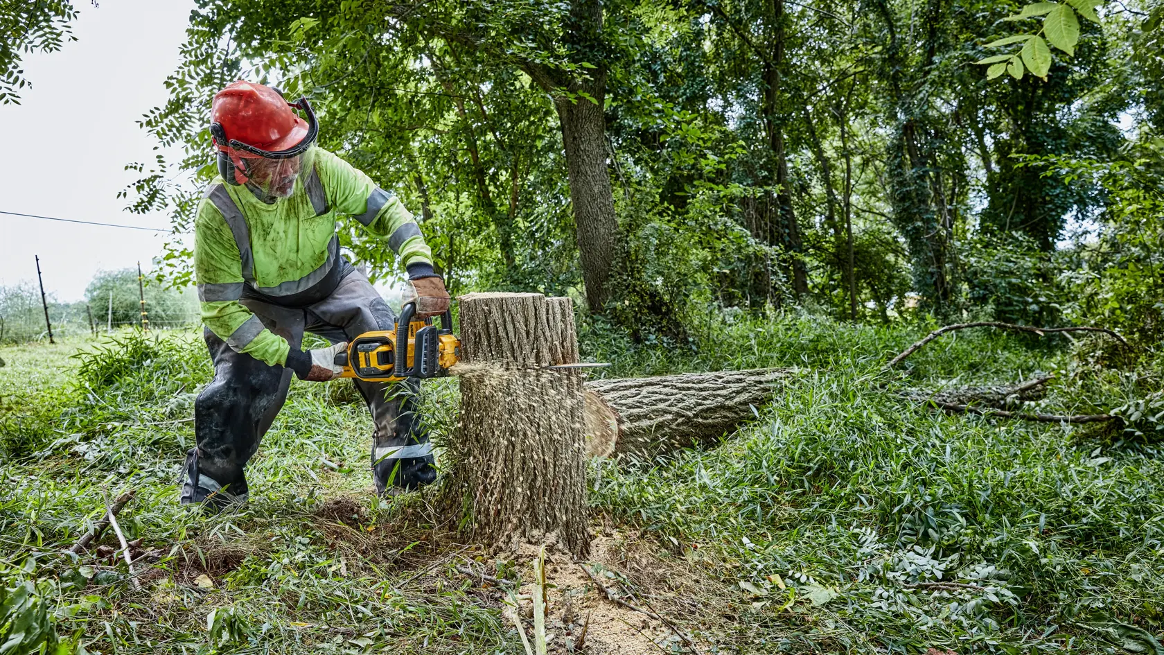 Una persona con equipo de seguridad utiliza una motosierra inalámbrica DEWALT para cortar un gran tronco de árbol al aire libre, rodeado de césped y árboles.