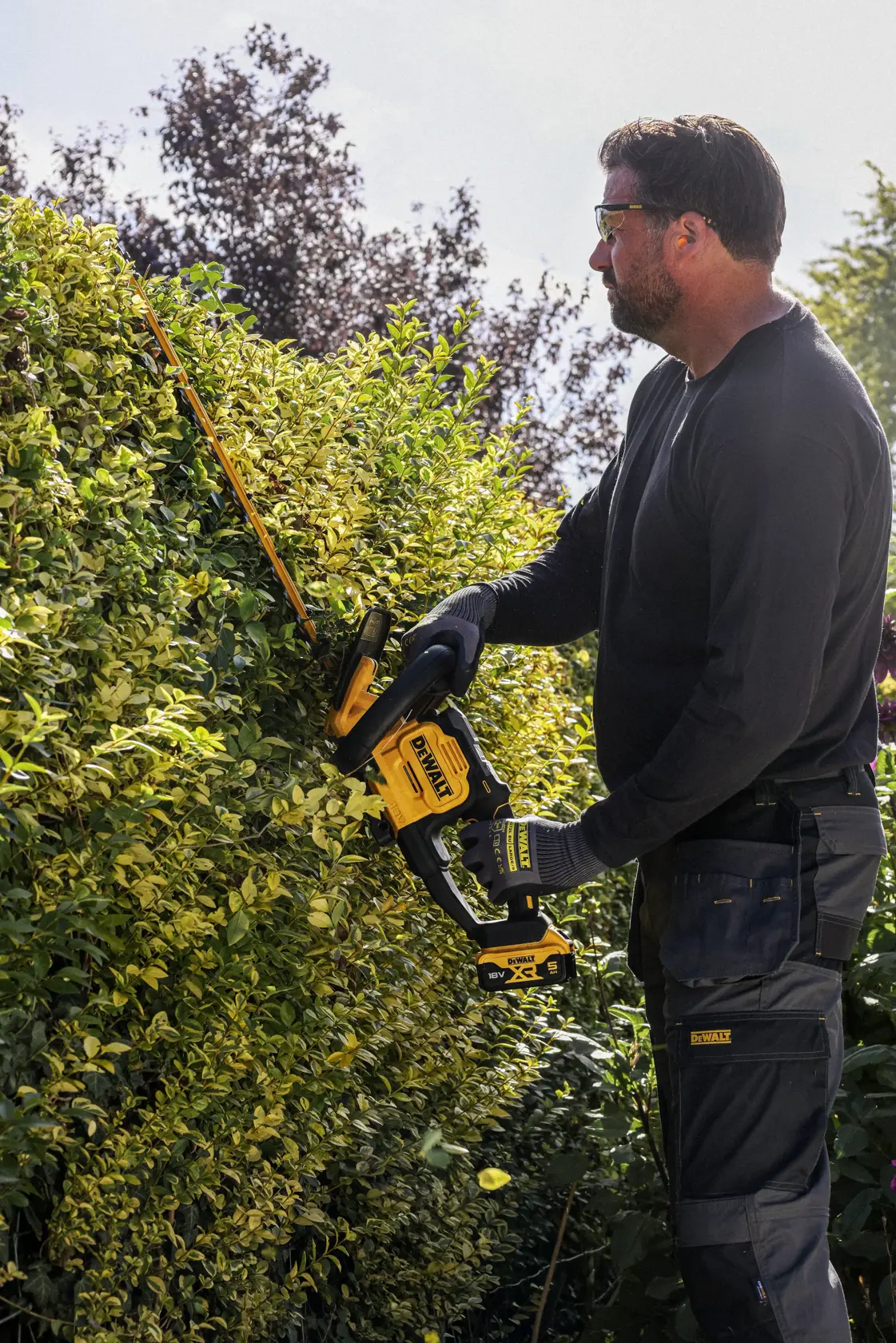 Cortasetos DEWALT usado al aire libre. SKUs mostrados: DCMHT567N, DCMHT567P1-QW, DCMHT567N-XJ, DCMHT567P1.