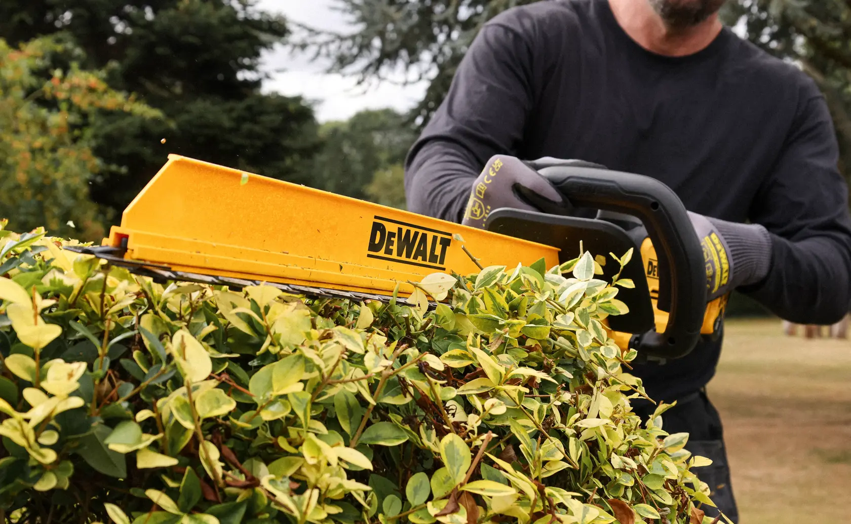 Cortasetos DEWALT en uso. SKUs: DCMHT567N, DCMHT567P1-QW, DCMHT567N-XJ, DCMHT567P1. Categoría fotografía.