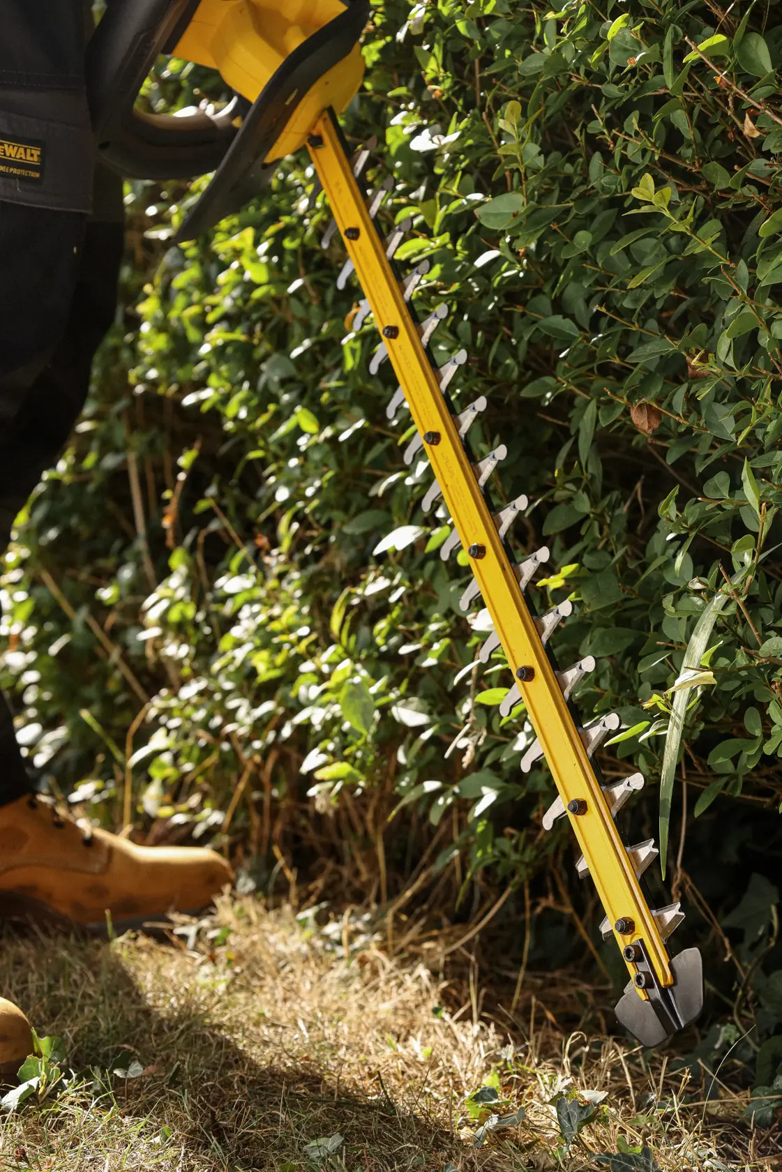Cortasetos DEWALT recortando arbusto. SKUs: DCMHT567N, DCMHT567P1-QW, DCMHT567N-XJ, DCMHT567P1. Foto.