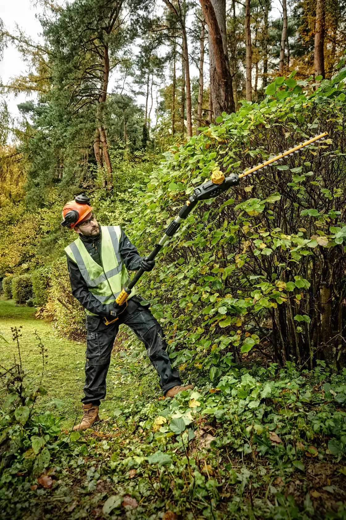 Cortasetos de pértiga XR 18V sin batería/cargador  55cm 25mm