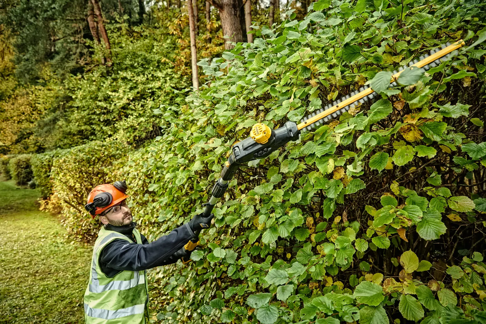 Cortasetos de pértiga XR 18V sin batería/cargador  55cm 25mm