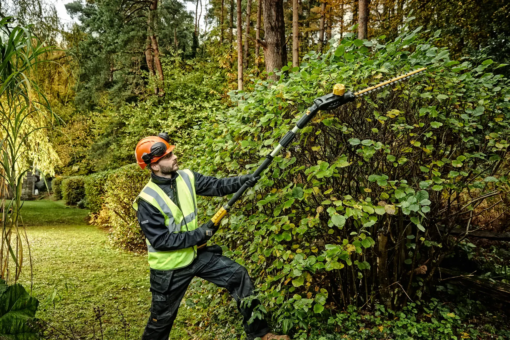 Cortasetos de pértiga XR 18V sin batería/cargador  55cm 25mm