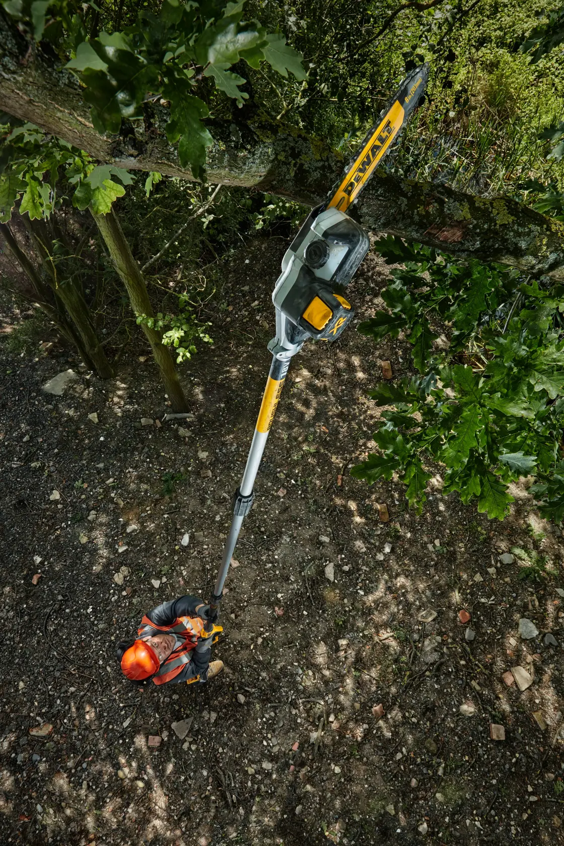 Podadora de pértiga sin escobillas XR 18V con 1 batería Li-Ion 5Ah 20cm